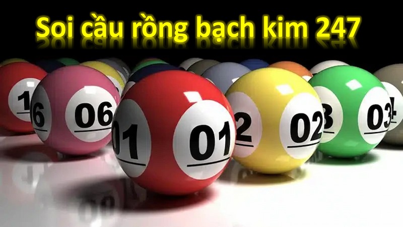 soi cau rong bach kim 1