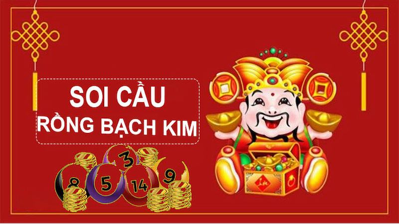 soi cau rong bach kim 2